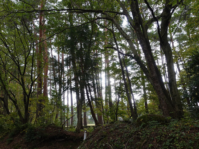 鳥取県道284号大山寺岸本線