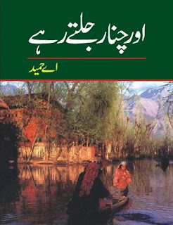 Aur Chanar Jalty Rahy Urdu novel