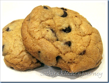the chewy
