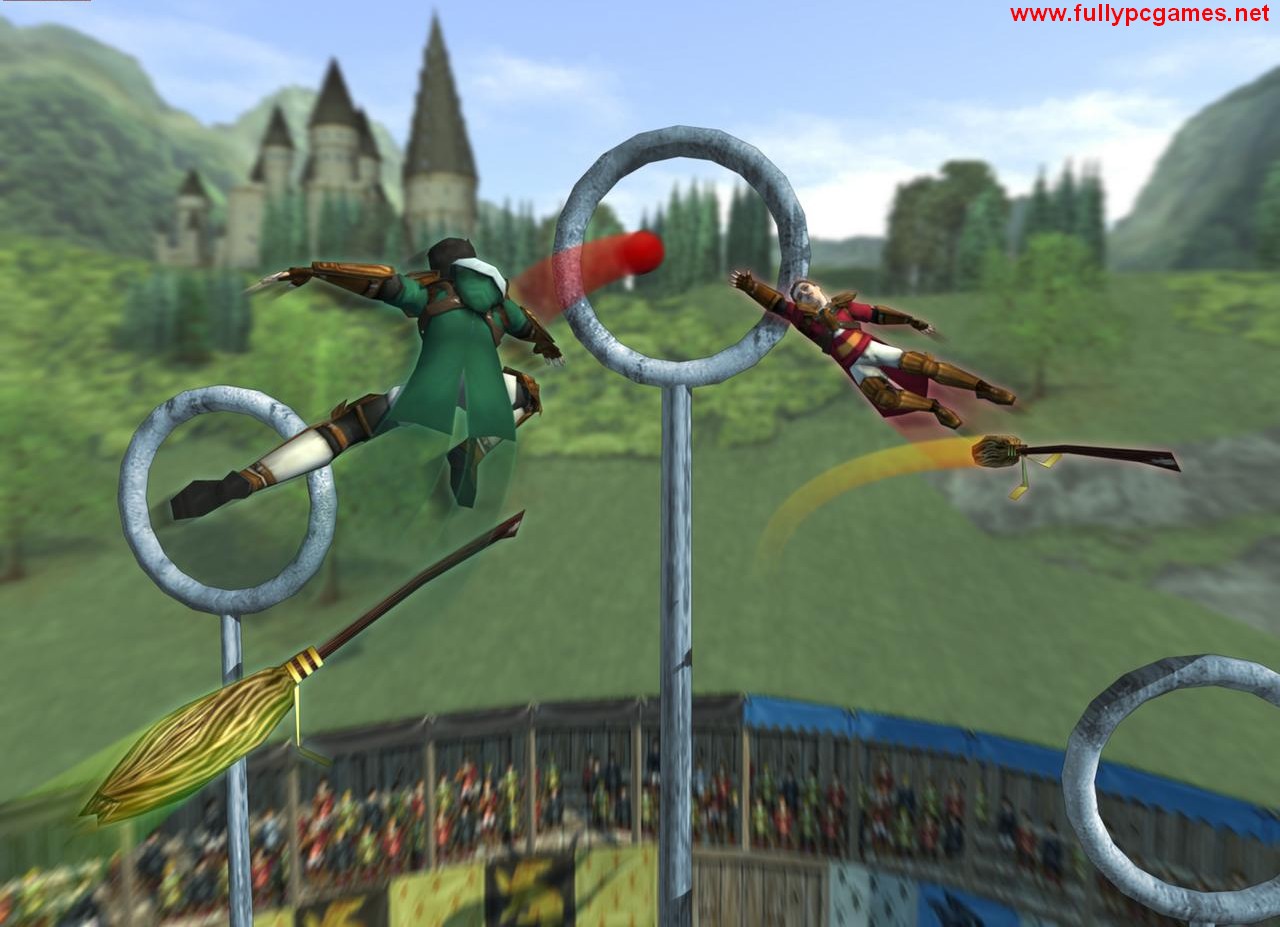 Harry Potter Quidditch World Cup Game | Dfhcg