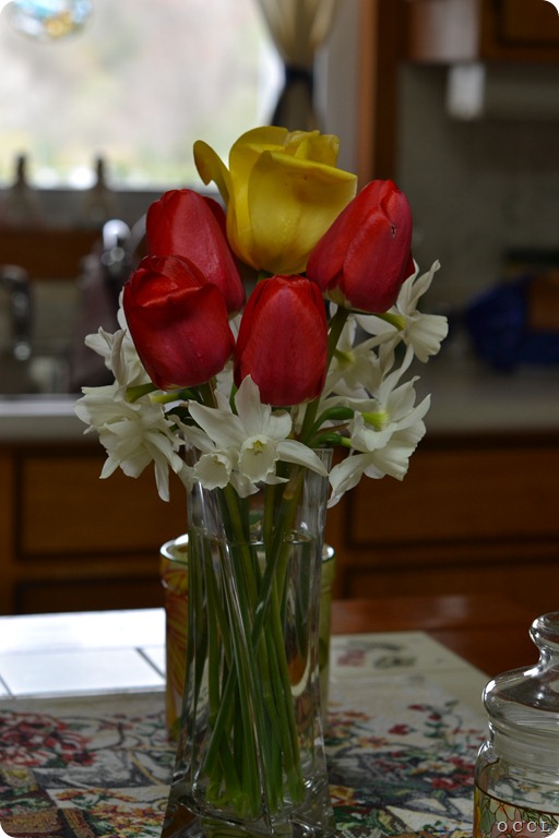 DSC_6294