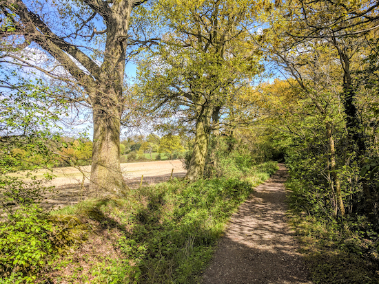 Little Berkhamsted bridleway 22 heading N