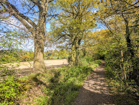 Little Berkhamsted bridleway 22 heading N