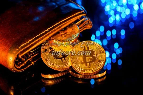 ما هي محفظة Cryptocurrency؟ هل أنت بحاجة إلى واحد لاستخدام البيتكوين؟