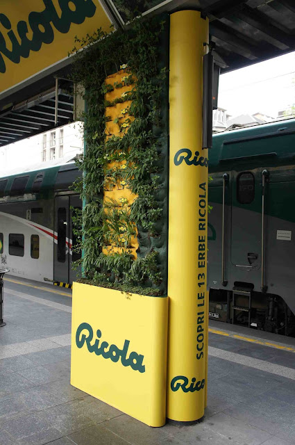 le erbe ricola a milano