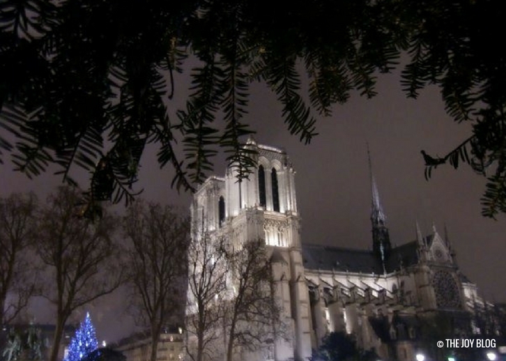 Notre Dame Cathedral | That One Time I Went to Paris // WWW.THEJOYBLOG.NET