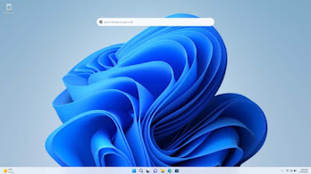 Windows 11 Build 25120 adds a new experimental search bar