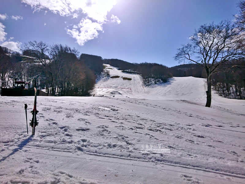 青森滑雪場,八甲田滑雪場,日本樹冰