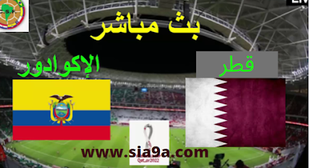 بث مباشر مباراة قطر والإكوادور