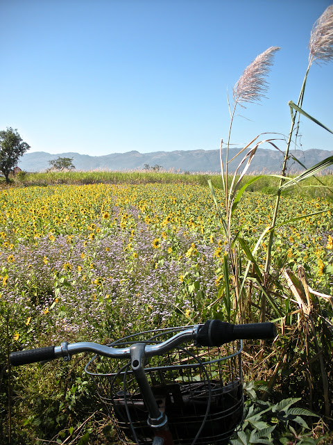 bicycle nyaung shwe