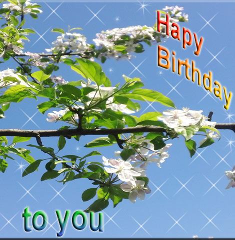 Blue sky white flowers and birthday message happy birthday to you in rainbow colors.