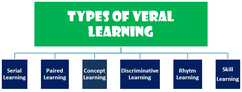 types-of-verbal-learning-psychology