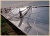 Zytech Solar David Scott Lewis in USA