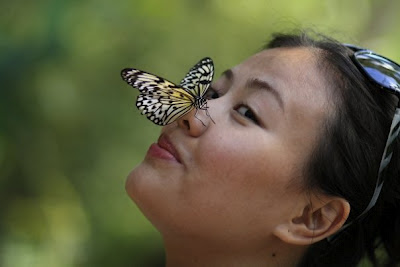Filipina Travel in Butterfly Garden