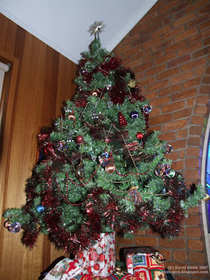 aussie (Australian) Christmas tree with decorations and star