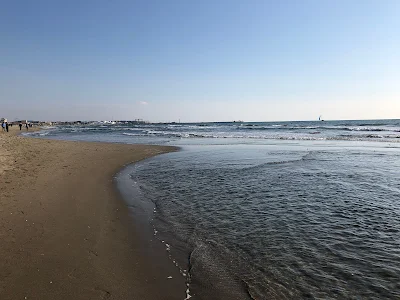 Viareggioの海岸線