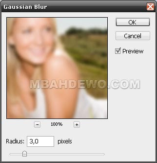 efek blur sebagian gambar 5