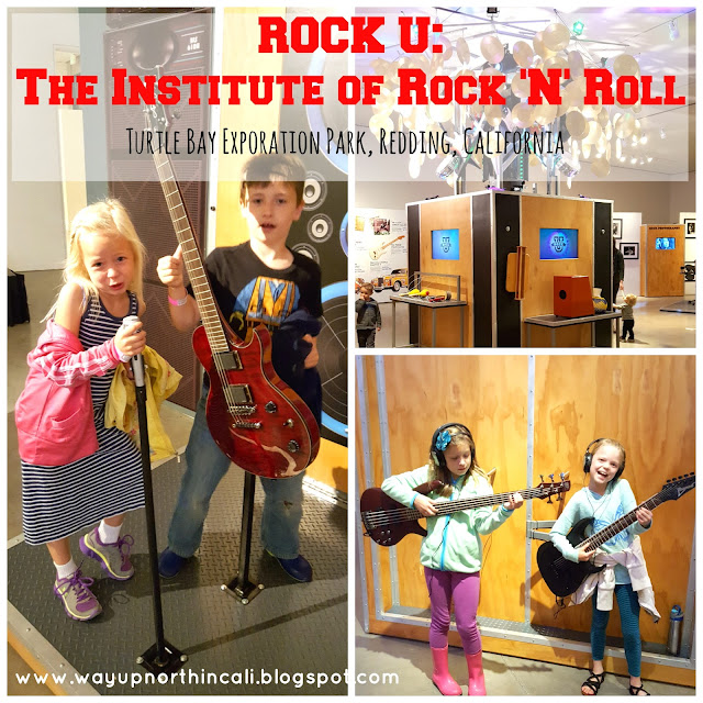 Rock U: The Institute of Rock 'N' Roll exhibit at Turtle Bay Exploration Par, Redding, CA   www.waupnorthincali.blogspot.com