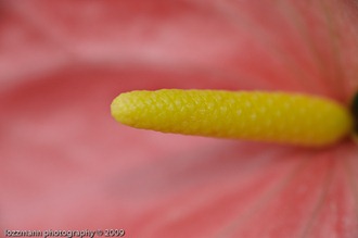 LT3_07572