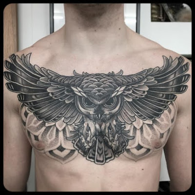 Owl tattoos ideas + design รอยสักรูปนกฮูก