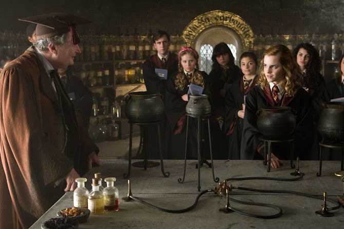 Hermione is talking with the professor and other students looking at them.