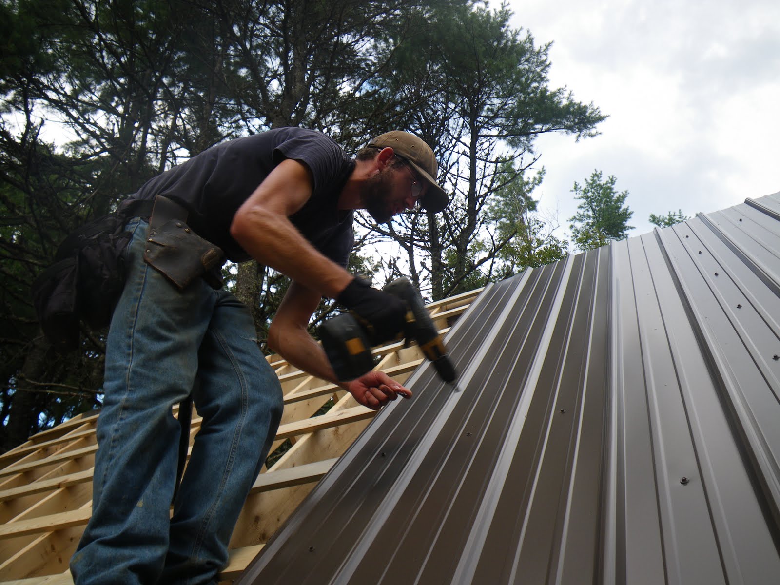 the tale of wags: roofing in metal