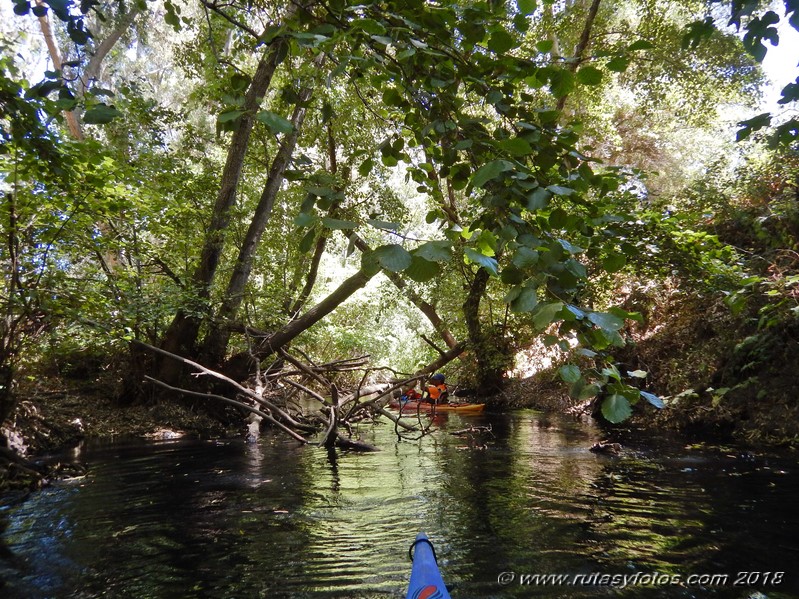 Kayak río Palmones