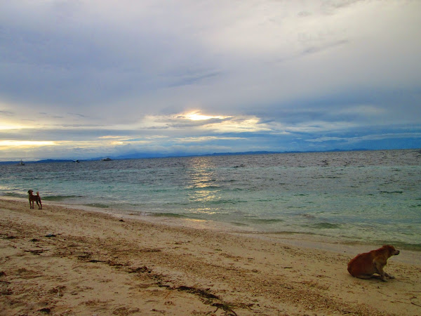 CLOUDY WITH A CHANCE OF AWESOME IN MALAPASCUA II