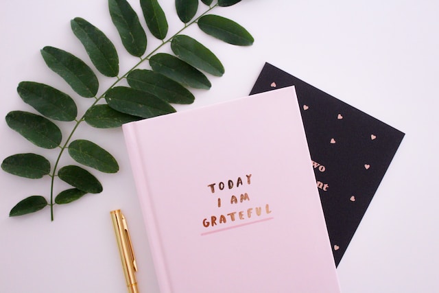 Gratefulness Journal