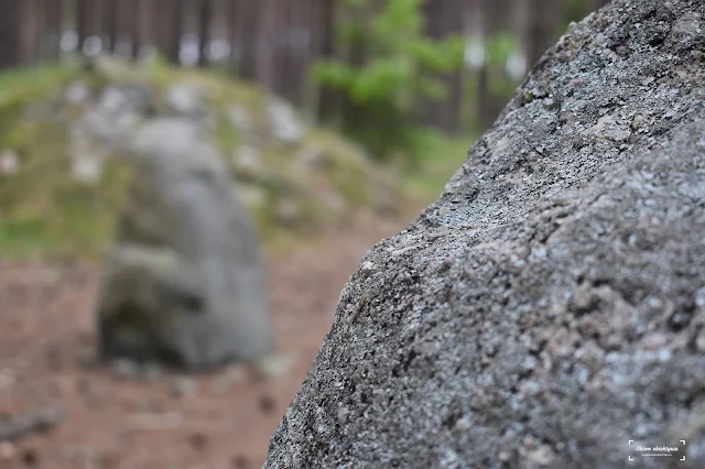 Polskie Stonehenge. Kamienne kręgi na Kaszubach.