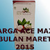 Harga Jual Ace Maxs Bulan Maret 2015