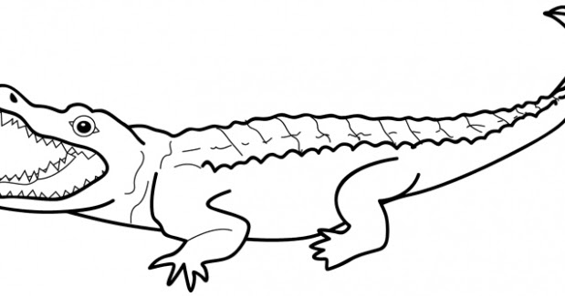 Gambar Buaya Hitam Putih
