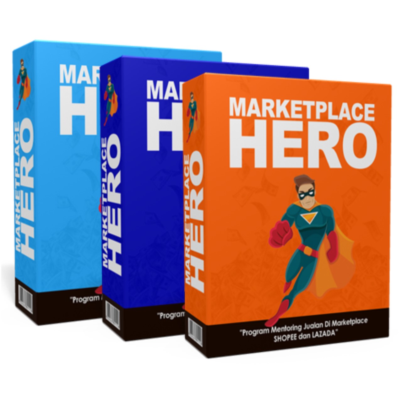 Marketplace Hero - Mentoring Bisnis SHOPEE & LAZADA