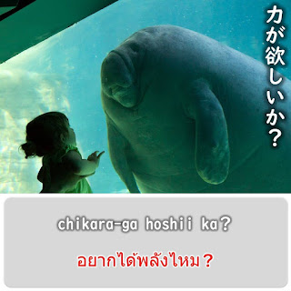 อยากได้พลังไหม？