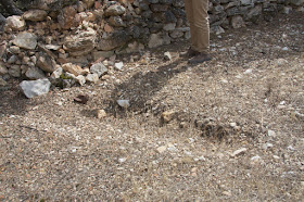Restos de la excavación en Abánades, Guadalajara