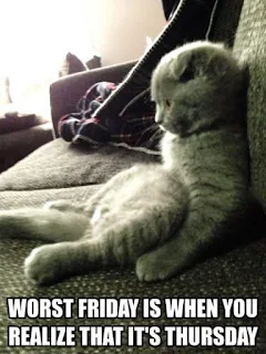 Lazy cat: Worst Friday is when you realize that it's Thursday.