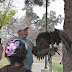 Free AZ birds of prey seminar