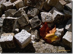 clip_image029