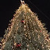 Φώτο: Φωταγωγήθηκε με 85.000 λαμπιόνια το πρώτο χριστουγεννιάτικο δέντρο για φέτος