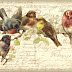 More Bird and French Bird Postcard Collages