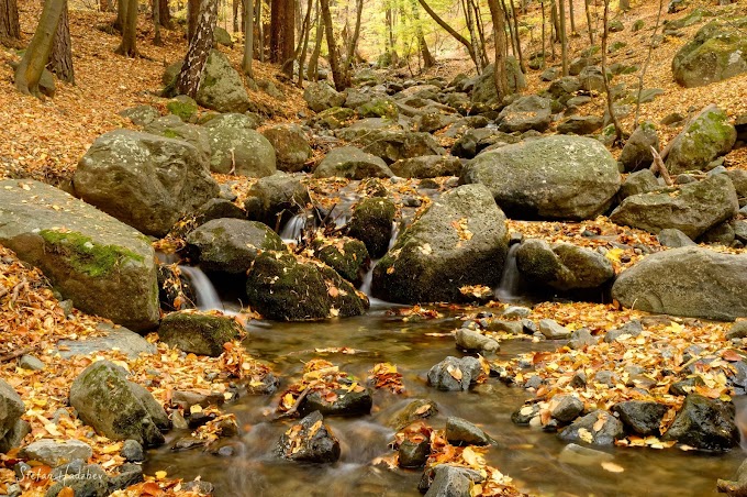 Ever-changing Appearance Of A Fixed Nature's Road