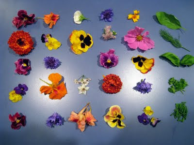 Edible Flowers