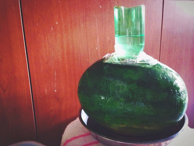 Bottle Funnel in Vodka Watermelon