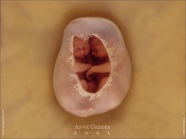 Baby Pictures Anne Geddes Photos