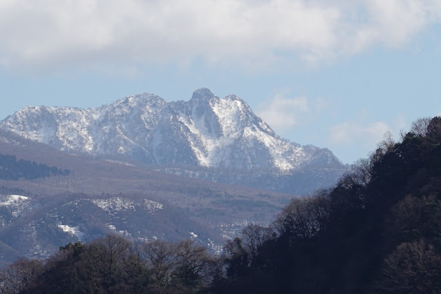 鳥取県西伯郡南部町鶴田 とっとり花回廊 花の丘からの眺望
