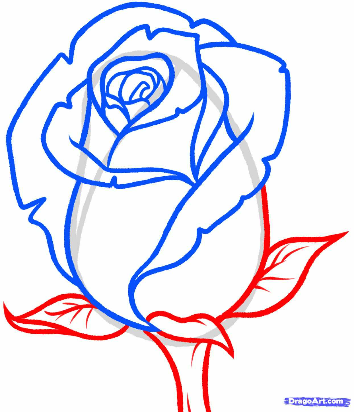 Easy Rose Drawing Outline