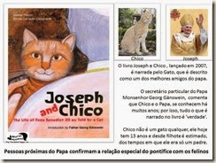papa_ama_gatos (8)[7]