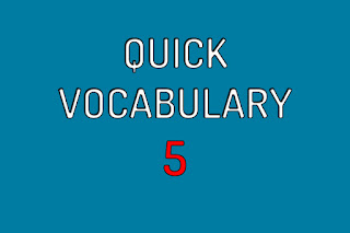  Quick Vocabulary 5 (.........mate)