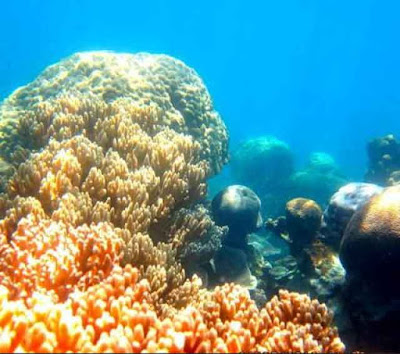 Tempat Wisata di Bangka Belitung yang Tak Boleh Dilewatkan Tempat Wisata di Bangka Belitung yang Tak Boleh Dilewatkan