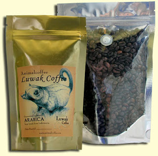 Coffee Luwak on Luwak Coffee Jpg